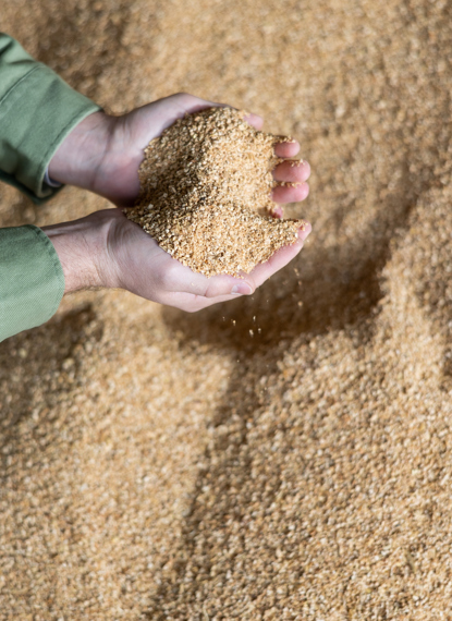 Webinar: Genanvendelse af mask (BSG) fra bryggerier